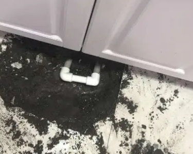 莱西查漏水哪家好